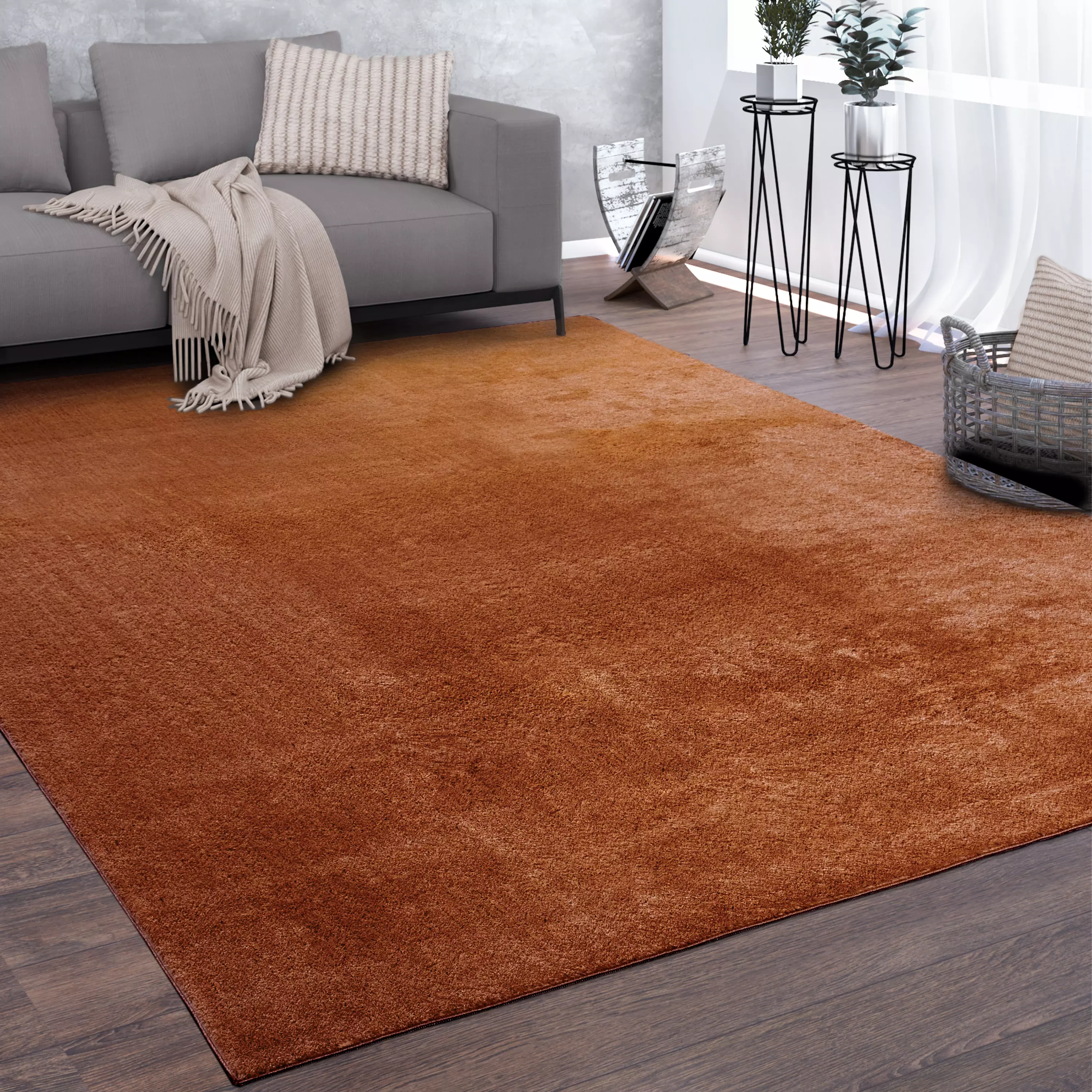 Esszimmer-Teppiche  jetzt online kaufen